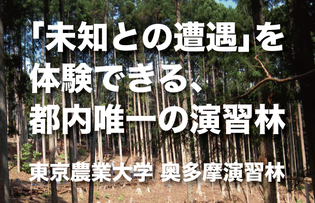 「未知との遭遇」を体験できる、都内唯一の演習林／東京農業大学 奥多摩演習林